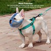 Muzzle for Bulldogs, Dog Muzzle with Short Snout, Adjustable, Soft