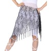 ZLTdream Belly Dance Sequin Triangle Hip Scarf Black-silver