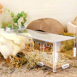 Quail Transparent Feeder Rutin Chicken Feed Box Chick Small Bird Seed Food Container for Small Bird Quail Chick (4 Holes)