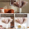 80PCS Mixed Dried Pampas Grass – Boho Vase Decor with