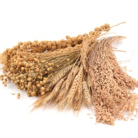 Hamster Organic Sprays Set = Wheat + Flax + Yellow Millet + Panicle Millet, Pet Habitat Bedding Decor, Hamster Chews, Hamster Accessories Supplies, for Dwarf Syrian Hamster, Gerbil, Mice, Guinea Pig