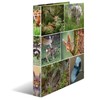 HERMA Ring Binder Animals with Forest Animals Motif, A4, 35