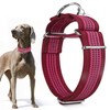 Dazzber 1.5" Martingale Dog Collar, Escape-Proof & Anti-Slip, Extra Strong
