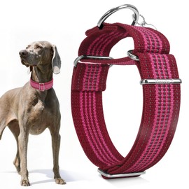 Dazzber 1.5" Martingale Dog Collar, Escape-Proof & Anti-Slip, Extra Strong Reflective Nylon, Adjustable Two-Color Stripe for Medium to Large Dogs （M-Burgundy & Hot Pink）
