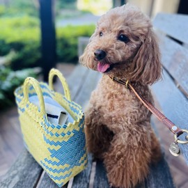 O.M.C TOKYO Women's Tote Bag, Colorful Lightweight, Handbag, Handbag, pink/green