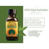Humco 100% Pure Australian Tea Tree Oil 1oz Moisturizer For