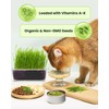 1 Pound Non-GMO Organic Wheat Cat Grass Seeds - Individual