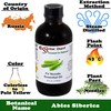 Essential Depot Fir Needle Essential Oil - GC/MS Tested -
