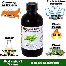 Essential Depot Fir Needle Essential Oil - GC/MS Tested - Supplied in 4 oz. Amber Glass Bottle with Black Phenolic Cone Lined and Safety Sealed Cap