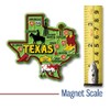 Texas Colorful State Magnet by Classic Magnets, 3.5" x 3.3",