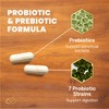 VetriScience Extra Strength Gut Health Easy-Open Capsules, Mega Probiotic and