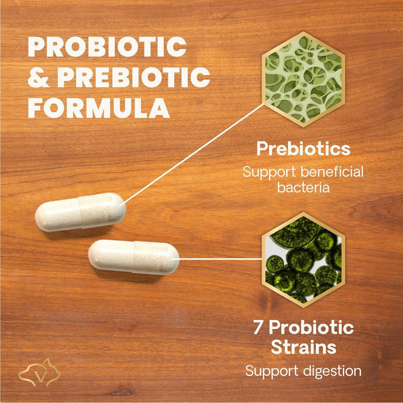 VetriScience Extra Strength Gut Health Easy-Open Capsules, Mega Probiotic and