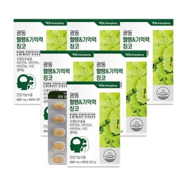 Guangdong Blood Flow Memory Ginkgo 60 tablets, 6 pieces / 광동 혈행 기억력 징코 60정, 6개
