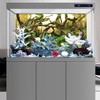 AWERT 48x24 inches Aquarium Background Branches Aquarium Background Aquatic Plant
