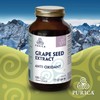 PURICA - Grapeseed Extract - 120 capsules