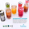Hibiscus Fusion Organic Iced Tea Canned Still Cold Brewed Tea