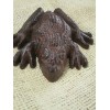 Midwest Craft House Cast Iron Frog Paper Weight Garden Yard