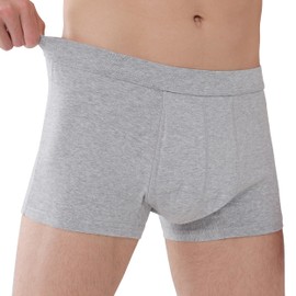 IRISMORII Incontinence Underwear for Men Washable Leak Proof Bladder Control Briefs with 60 ml Absorbency 1 Pack (Gray, XL)