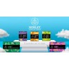 Horley Tea - Té De Jengibre Con Cúrcuma Y Canela