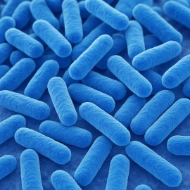 Turmeric Root 120 Softgel Turmeric Curcumin 5000mg Herbal Extract with BioPerine Root USA