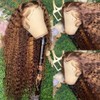 Bele Water Wave Wig Highlight Lace Front Wigs Human Hair