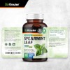 Cápsulas de Menta Spearmint, 500 Mg, Hoja de Orgánica (Mentha