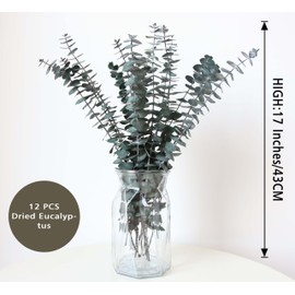 12 PCS Dried Eucalyptus Stems for Shower 17" Real Leaves Branches for Vase Filler, Home Bathroom Wedding Arrangement Decor, 100% Natural Fresh Greenery Hanging Preserved Eucalyptus Plant