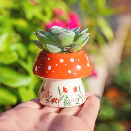 Karma, Shaped Succulent Pot, Artificial Succulents in Ceramic Pot, Faux Mini Succulent Plant, Desk Decor, Office Plants, Succulent Décor Faux Succulent Plants Potted - Rainbbow