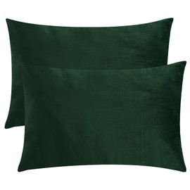 StangH Christmas Pillowcase for Decor, Velvet Pillow Covers with Zipper Closure, Soft Cozy Feeling for Sleeping, Queen Size (Dark Green, 20 x 30 inches) Pillow Cases Set of 2