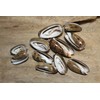 50- Natural Black Olive Seashells for Crafts, Precision Top Cut
