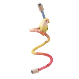Tafit Multi-Color Rope Bird Perch Toys for Parrot Cage Stand, Climbing Swing Accessories for Cockatiel, Parakeets, Budgies, Lovebirds, Conures, Finches - 31.5 inch