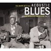 Acoustic Blues Vol.1 (2-CD)