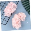DECHOUS Hortensia Seca Flores Preservadas 20 g Perfectos para Arte