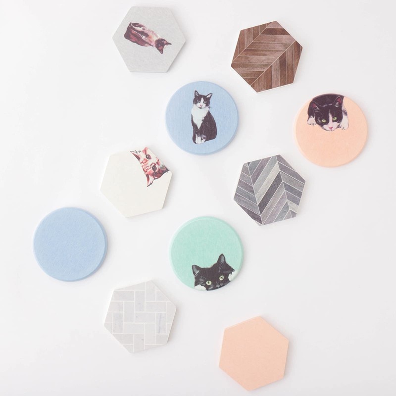 Jubilee Diatomaceous Earth Coasters Set of 2 Cat Pastel Color