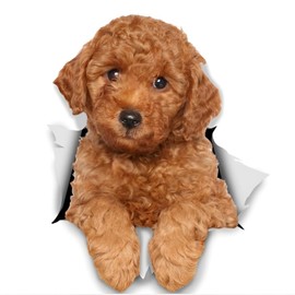 Car Sticker Poodle Sticker 18 cm (7.1 Inch) Poodle Car Sticker 3D Ripped Car Sticker Poodle Reflective Sticker Bumper Funny Decor Waterproof Sticker