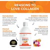 Reverse Life Immune Defence Liquid Multivitamin Drink | Orange Flavour