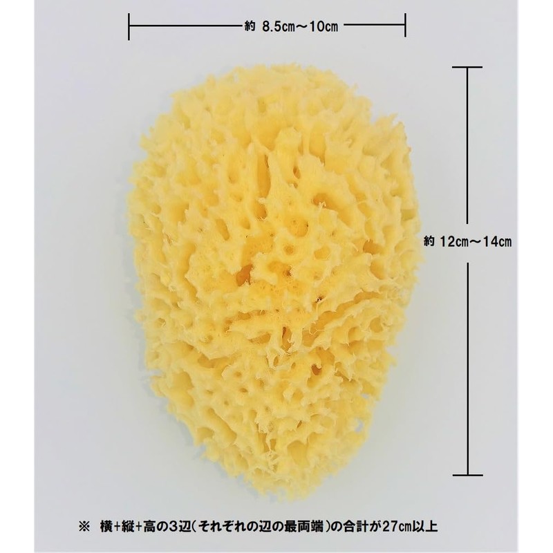 Natural Sea Cotton Body Sponge L