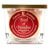 Circle E Candles, Bird of Paradise Scent, Medium Size Jar