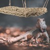 Mipcase Lizard Lounger Bearded Dragon Hammock Natural Seagrass Habitat with