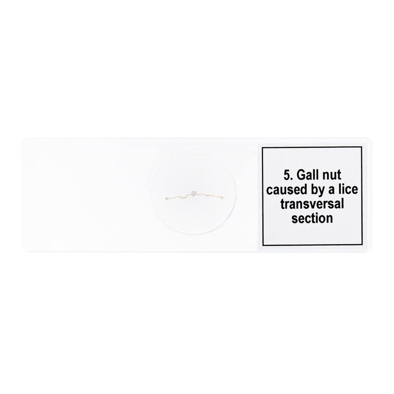 Discovery Prof Specimens DPS 5. “Mutations” – Prepared Educational Microscope