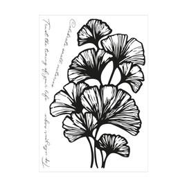 Sizzix Clear 4PK Cosmopolitan, Stamp Set-Inspire by Stacey Park, 6 Pack