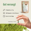 Barley Grass Capsules Organic Refill Pack of 400 | 3000