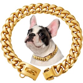 15 mm Wide Golden Stainless Steel Dog Collar Metal Dog Collar Dog Collar Pet Training Walking Collar (35 cm)