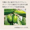【爪トラブル改善30年の専門家が考案】 kainaネイルオイル ネイルセラム 天然由来99.9% 10ｍｌBNK-002