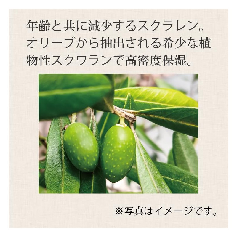 【爪トラブル改善30年の専門家が考案】 kainaネイルオイル ネイルセラム 天然由来99.9% 10ｍｌBNK-002