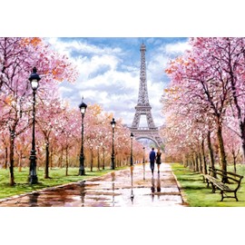 Castorland C-104369-2 Romantic Walk in Paris Jigsaw Puzzle, 1000 Pieces, Multi-Coloured