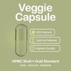 Turmeric and Black Pepper Capsules | 1440mg Dose | 120