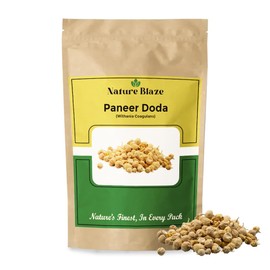 Nature Blaze Indian Rennet | Paneer Doda | Paneer Doda Phool | Paneer Dodi | Withania Coagulans With Nature's Goodness (Paneer Doda Whole-4 Oz / 0.25 lb)