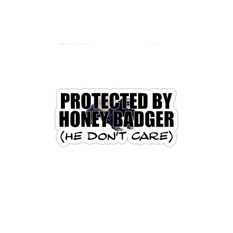 Honey Badger Inspired Parody He Don't Care Funny Window Laptop