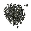 Seed Needs, Dwarf Teddy Sunflower Seeds - 100 Heirloom Seeds
